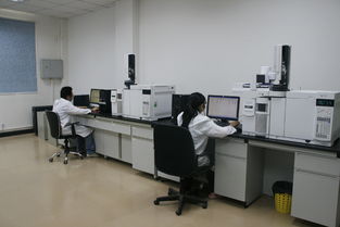 華科檢測技術(shù)服務(wù)積極捐資支持新中學建設(shè)，助力信息技術(shù)咨詢服務(wù)發(fā)展